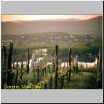 zemplin-mala trna.jpg